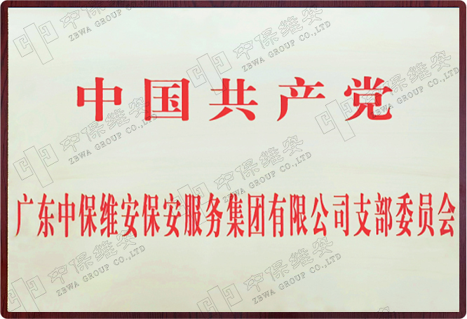 中国共产党中保维安支部委员会