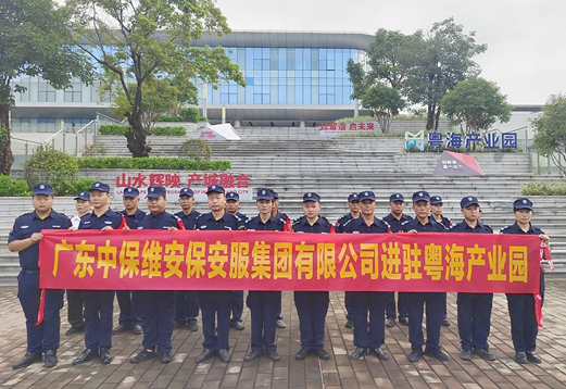 中保维安